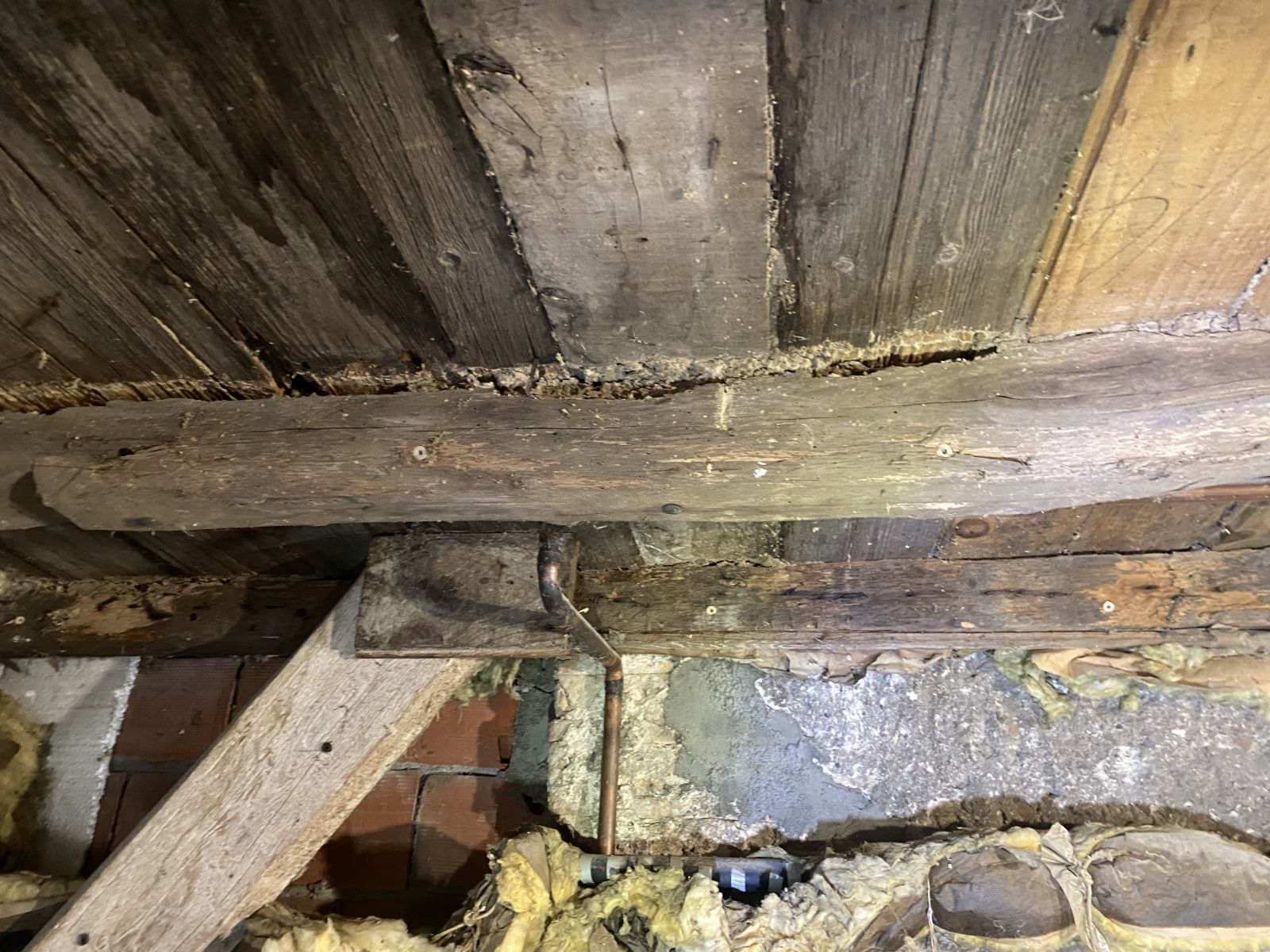 Termite bois dans la maison ?
